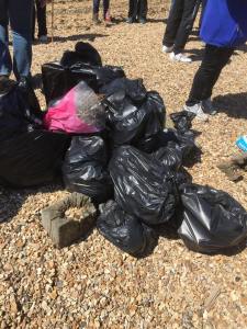 Some of the rubbish cleared up at the litter pick