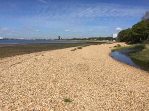 Weston Shore looking clean and beautiful after the litter pick 
